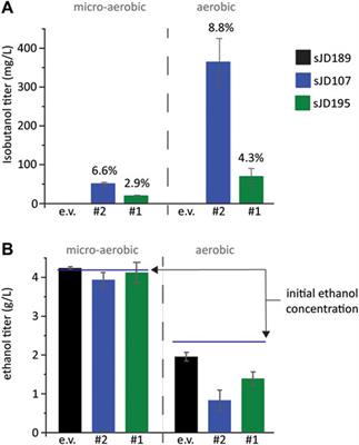 Combinatorial library design for improving isobutanol production in Saccharomyces cerevisiae